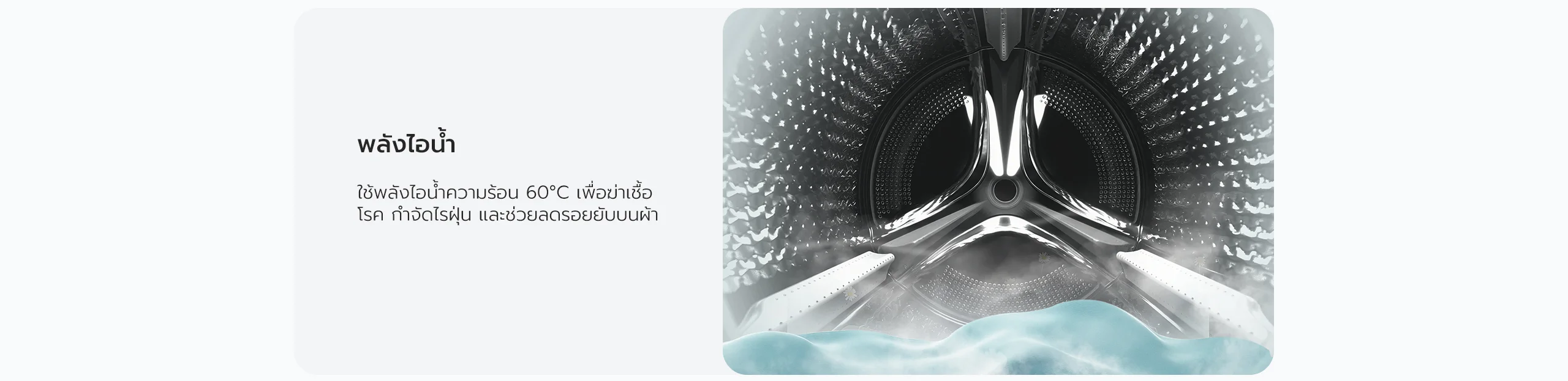 เครื่องซักผ้า candy พลังไอน้ำ 60°C ฆ่าเชื้อโรค กำจัดไรฝุ่น และลดรอยยับบนผ้า